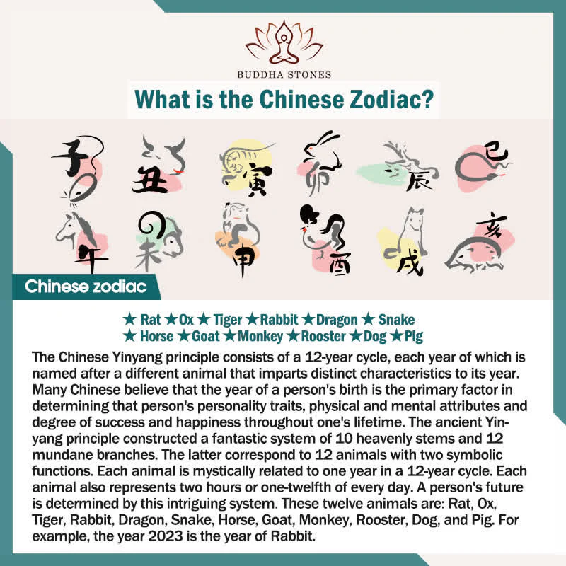 Chińskie Zodiak 108 Koraliki Czarny Obsydian Tygrysie Oko Fortune Mala Bransoletka - Image 13